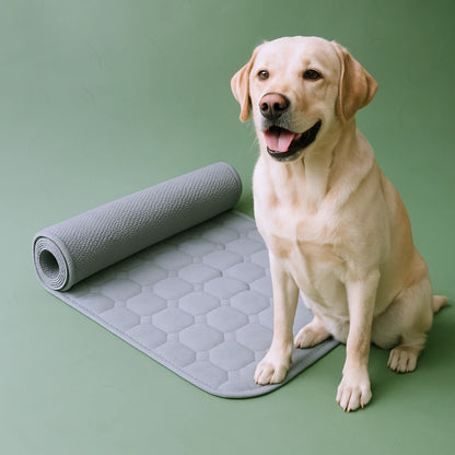 Ultra Absorb Pad