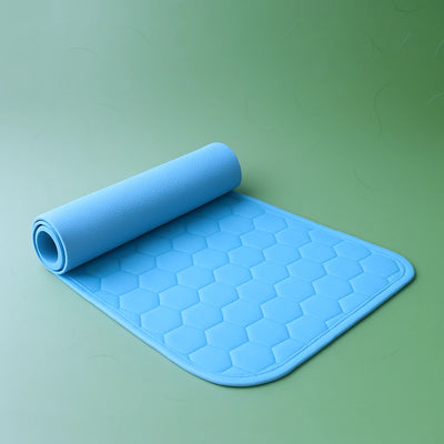 Ultra Absorb Pad