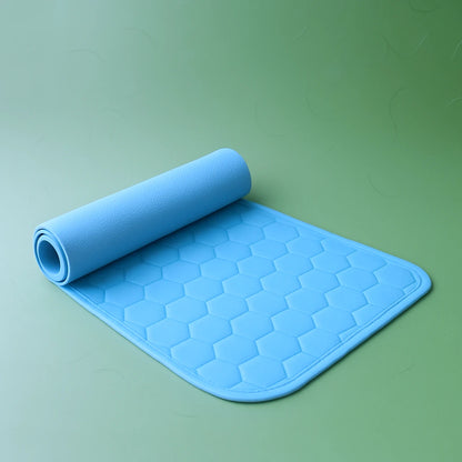 Ultra Absorb Pad